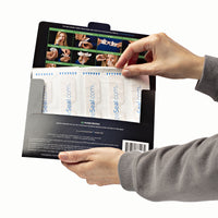 NozeSeal™ Subscription Pack now $29.95!